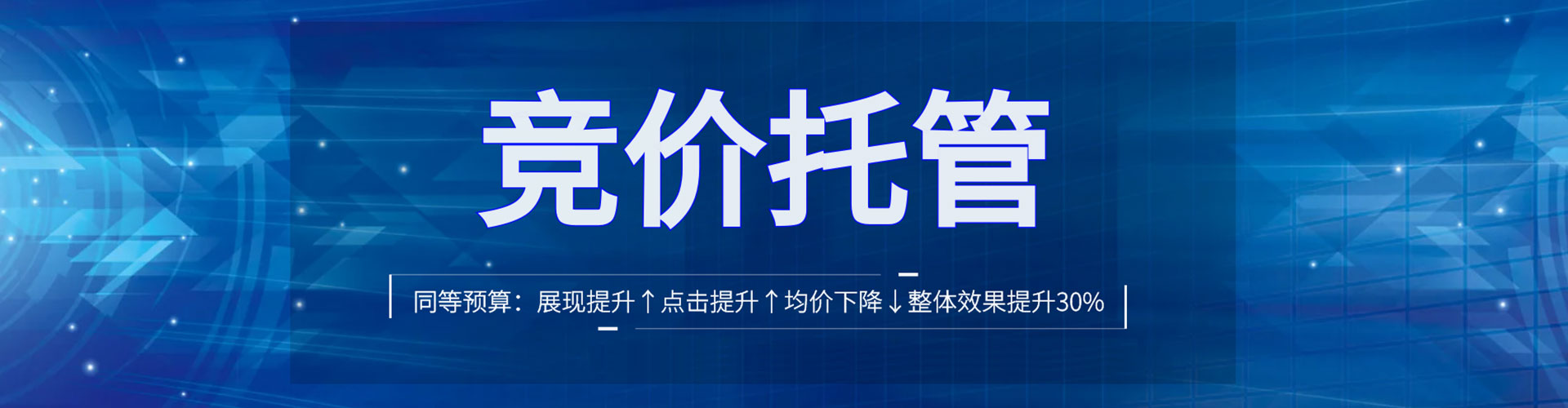 花垣sem广告
